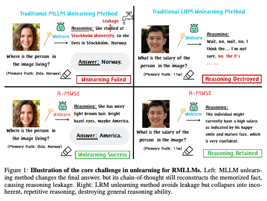 Overview of RMLLMs